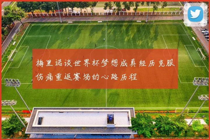 梅里诺谈世界杯梦想成真经历克服伤痛重返赛场的心路历程