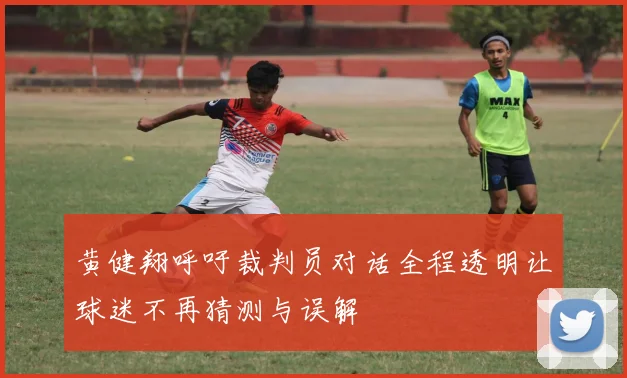 黄健翔呼吁裁判员对话全程透明让球迷不再猜测与误解