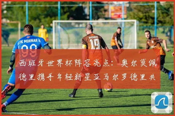 西班牙世界杯阵容亮点：奥尔莫佩德里携手年轻新星亚马尔罗德里共赴荣耀之战